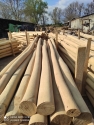 Acacia sapwood free pole