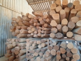 Acacia sapwood free pole