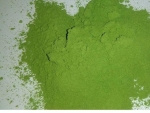 Drumstick leaves powder
