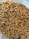 Tephrosia Purpurea Seeds/ Sarphonka Seeds/ Wild Indigo