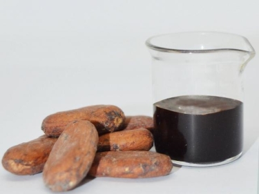 Cocoa Extract - Van Aroma (CC-0201)