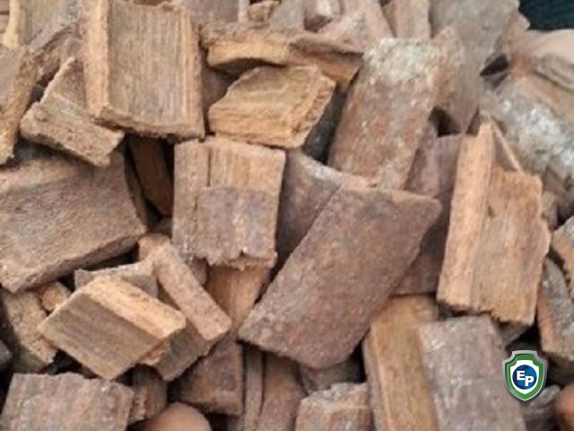 Massoia Bark Oil (50-60% Lactone C10) - Van Aroma (MB-150)