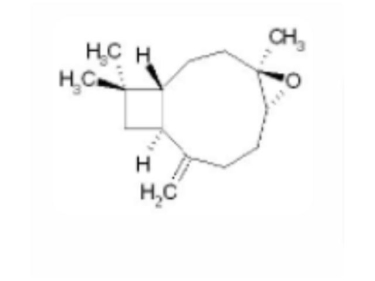 Caryophyllene Oxide - Van Aroma (CL-605)