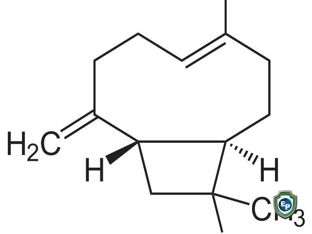 Beta Caryophyllene 85% - Van Aroma (CL-601)