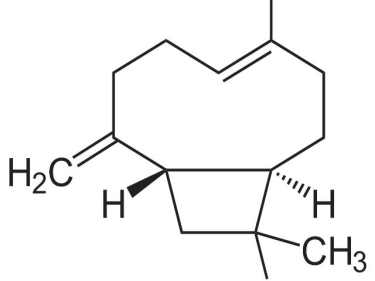 Beta Caryophyllene 85% - Van Aroma (CL-601)