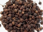 Cubeb Pepper Oil - Van Aroma (CB-002)