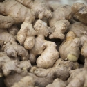 Ginger Oil - CO2 - Van Aroma (FG-003)