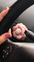 Bliss Air Scent Luxury Flower Scented Stone Vent Clip for Car