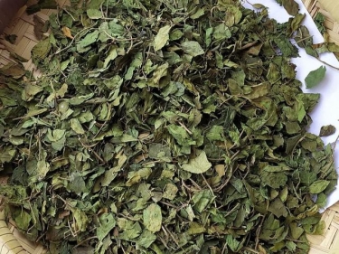 GYMNEMA TEA BAGS - Bulk Quantity (TBC)