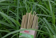Vietnam Biodegradable Tableware