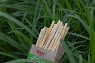 Vietnam Biodegradable Tableware
