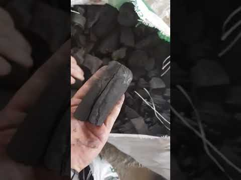 Eucalyptus Charcoal For BBQ