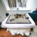 L Shaped Natural Korai Grass Dog/ Cat/ Pappy Bed manufacturer Exporter