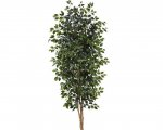Nearly Natural Ficus Tree