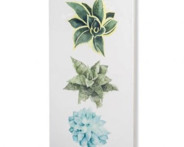 Mercana Custom Row of Succulents I Made to Order Canvas Art