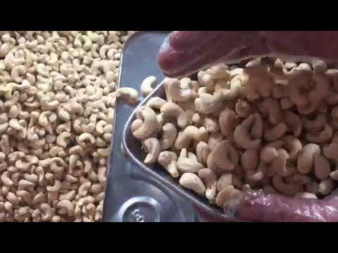 Export Cashew Nuts