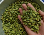 Cardamom
