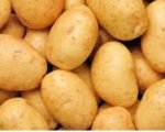 Potato