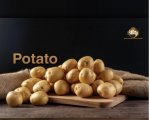 Potato