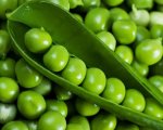 Green Pea