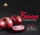 Onion