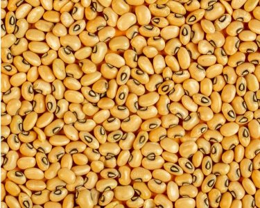 Black eye beans