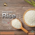 IR 64 Rice