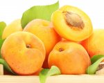 Apricots