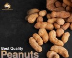 Peanuts