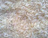 1121 Steam Basmati Rice OLD CROP