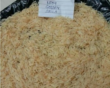 1509 Golden Sella Parboiled Basmati Rice NEW CROP