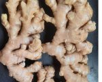 Fresh Ginger