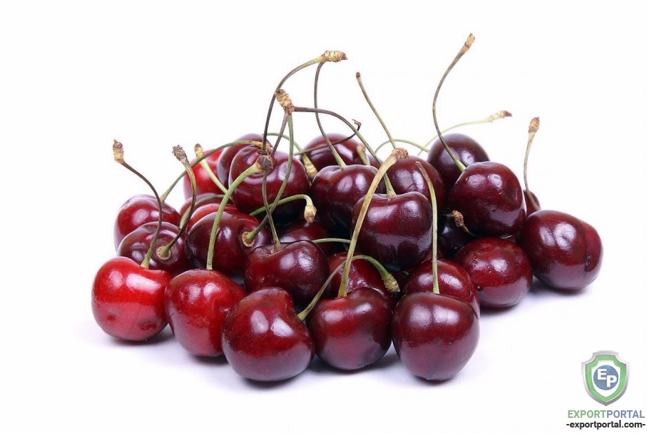 Fresh Cherries From Uzbekistan