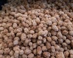 Dried Mulberry