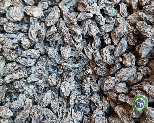 Dried Raisin(Black)