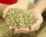 Raw Coffee Beans
