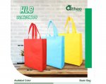 PP Non Woven Spunbound Eco Bag
