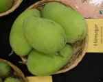 BANGINAPALLI MANGO
