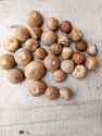 Whole betel nut
