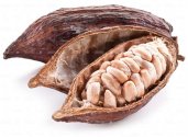 Cocoa beans