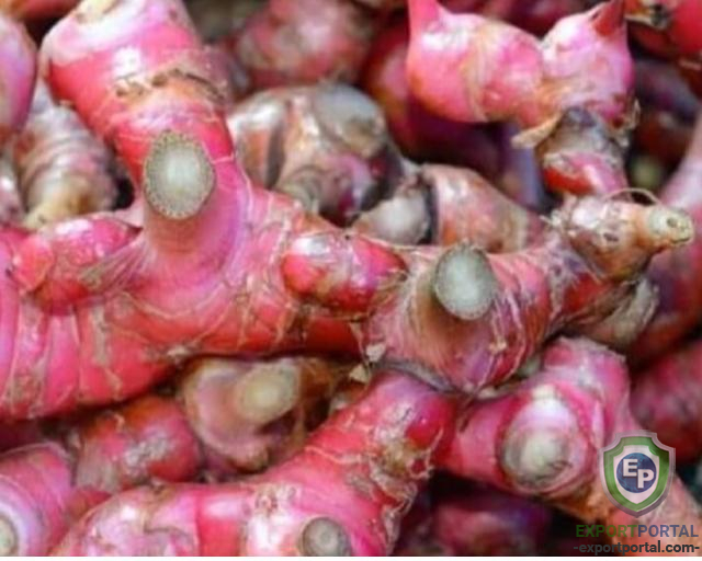 Dried red ginger