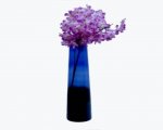 Craftfry Flower Glass Vase (17 inch, Blue, Black)