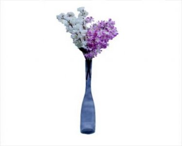 Craftfry Long Hurricane Shape Flower Glass Vases (24 inch, Black)