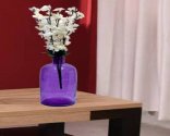 Craftfry Glass Flower Vase With Rounded Burner Shape