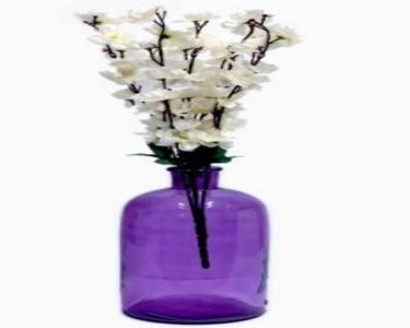 Craftfry Glass Flower Vase With Rounded Burner Shape