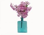 Craftfry Incomparable Notebook Flower Glass Vase (6 inch, Ocean Blue)