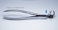 Routurier Extraction Forceps