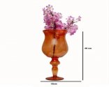Craftfry Beautiful Flower Glass Vase (19 inch, Orange )