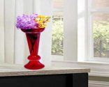 Craftfry Elegant Flower Glass Vase (24 inch, Red)