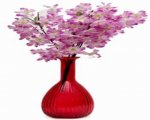 Craftfry Pumpkin Flask(Lining) Shape Flower Glass Vase (13 inch, Red)